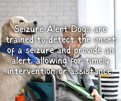 Seizure Alert Dogs are trained to detect the onset of a seizure and provide an alert, allowing for timely intervention or assistance.