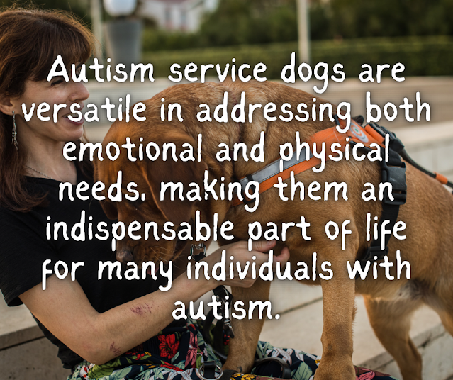 Autism service dogs are versatile in addressing both emotional and physical needs, making them an indispensable part of life for many individuals with autism.