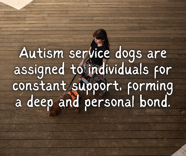autism service dogs are assigned to individuals for constant support, forming a deep and personal bond.
