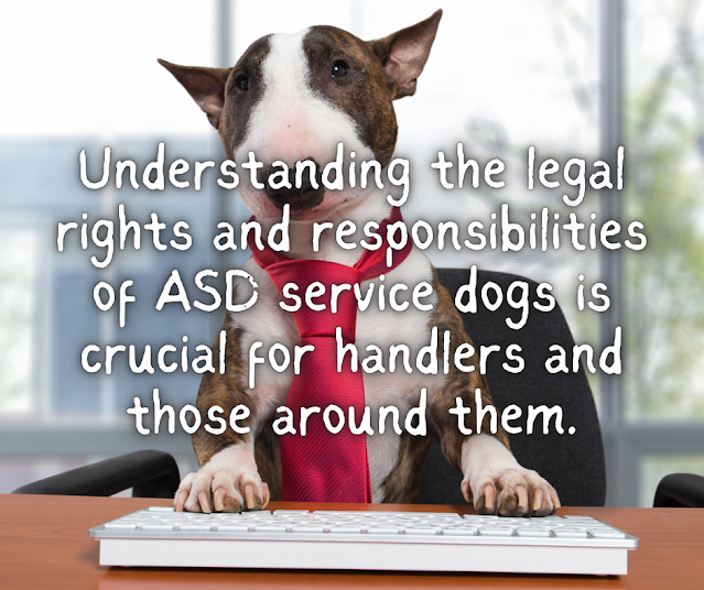 Understanding the legal rights and responsibilities of ASD service dogs is crucial for handlers and those around them