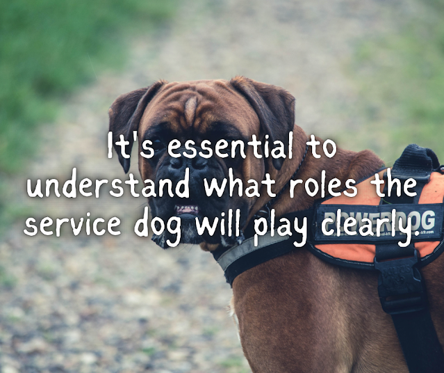 It's essential to understand what roles the service dog will play clearly.